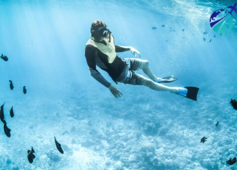 Scuba Diving & Snorkeling from Makadi Bay & Sahl Hasheesh With Divers