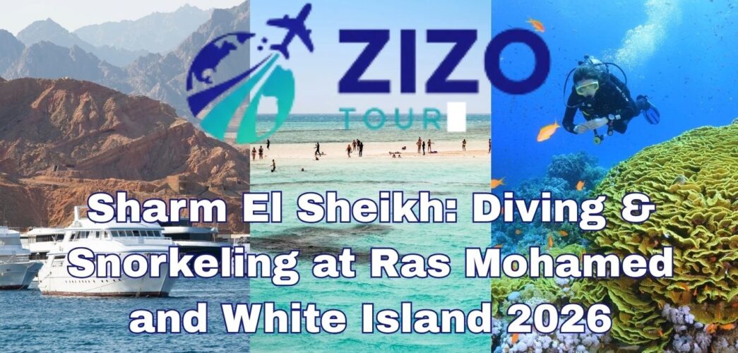 Sharm El Sheikh: Diving & Snorkeling at Ras Mohamed and White Island 2026