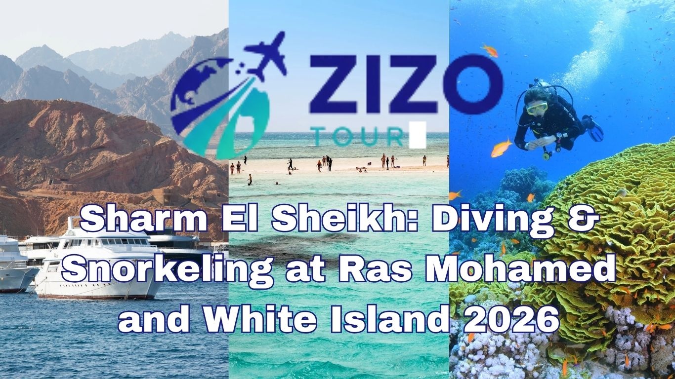Sharm El Sheikh: Diving & Snorkeling at Ras Mohamed and White Island 2026