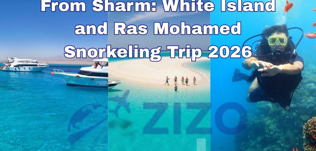 From Sharm: White Island and Ras Mohamed Snorkeling Trip 2026