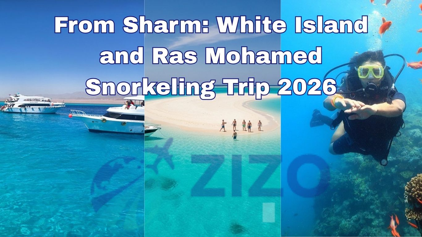 From Sharm: White Island and Ras Mohamed Snorkeling Trip 2026