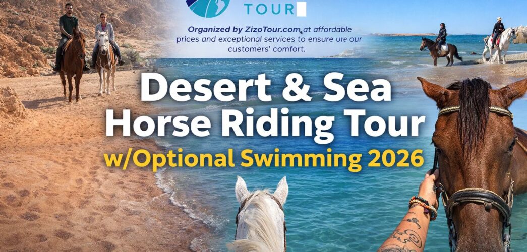 Desert & Sea Horse Riding Tour w/Optional Swimming 2026