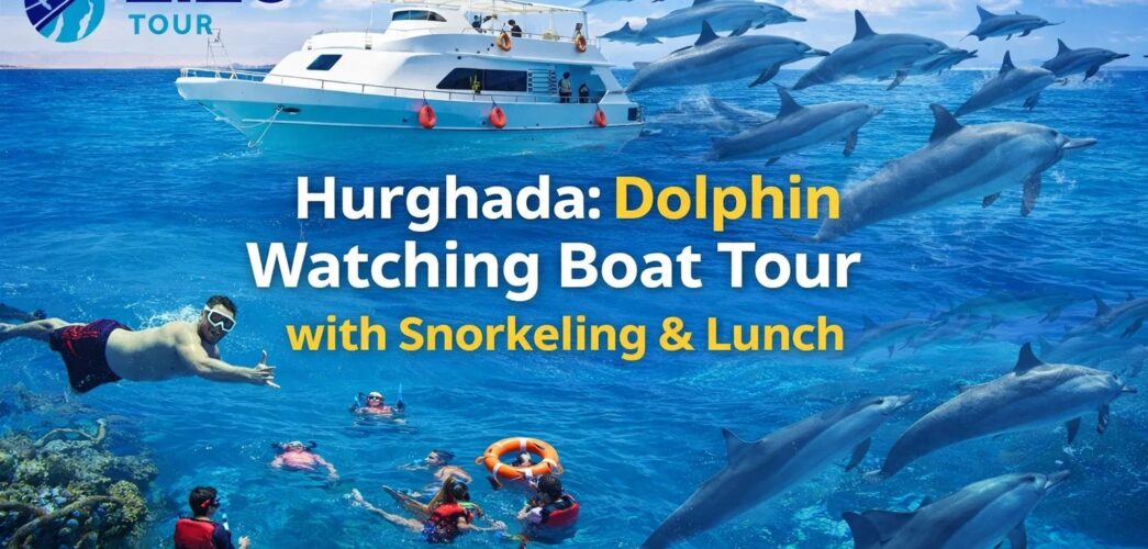 Hurghada: Dolphin Watching Boat Tour with Snorkeling & Lunch