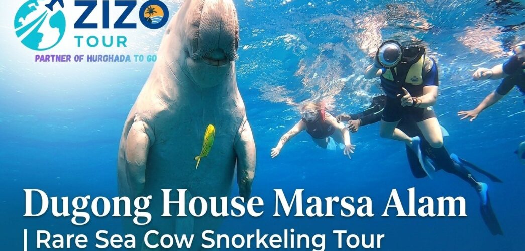 Dugong House Marsa Alam | Rare Sea Cow Snorkeling Tour