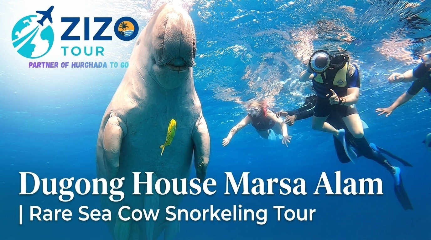 Dugong House Marsa Alam | Rare Sea Cow Snorkeling Tour