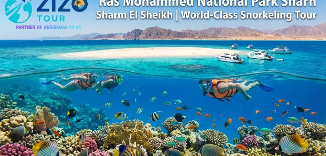 Ras Mohammed National Park Sharm El Sheikh | World-Class Snorkeling Tour