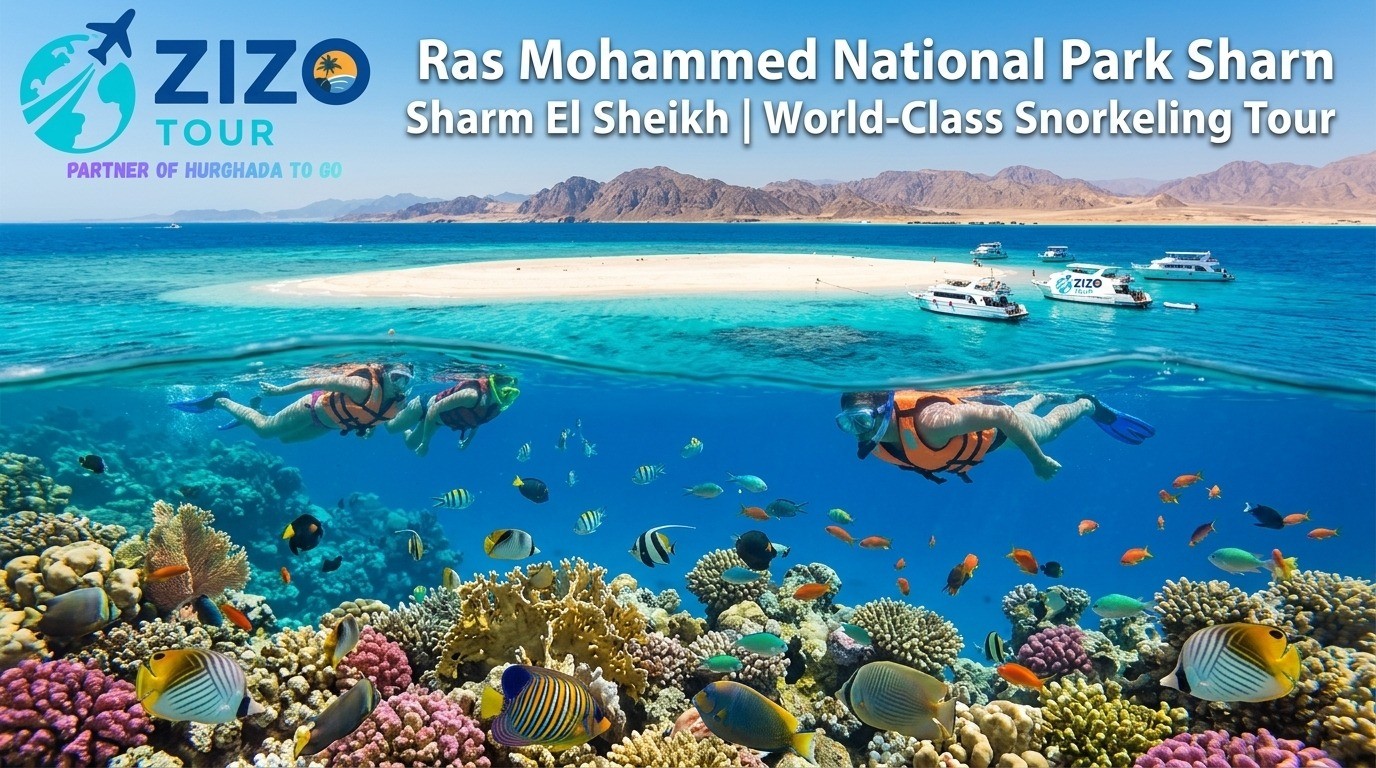 Ras Mohammed National Park Sharm El Sheikh | World-Class Snorkeling Tour