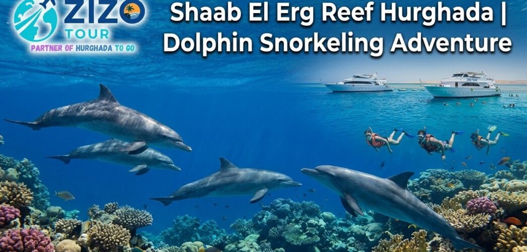 Shaab El Erg Reef Hurghada | Dolphin Snorkeling Adventure