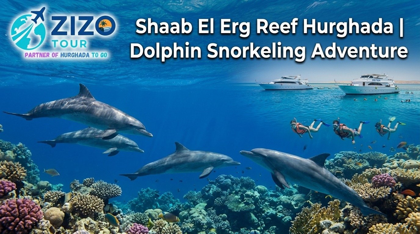 Shaab El Erg Reef Hurghada | Dolphin Snorkeling Adventure