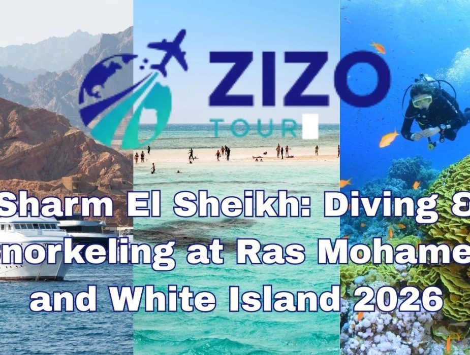 Sharm El Sheikh: Diving & Snorkeling at Ras Mohamed and White Island 2026