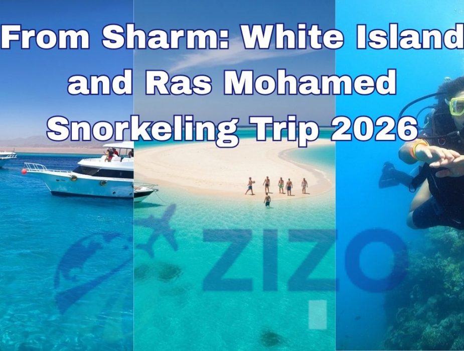 From Sharm: White Island and Ras Mohamed Snorkeling Trip 2026