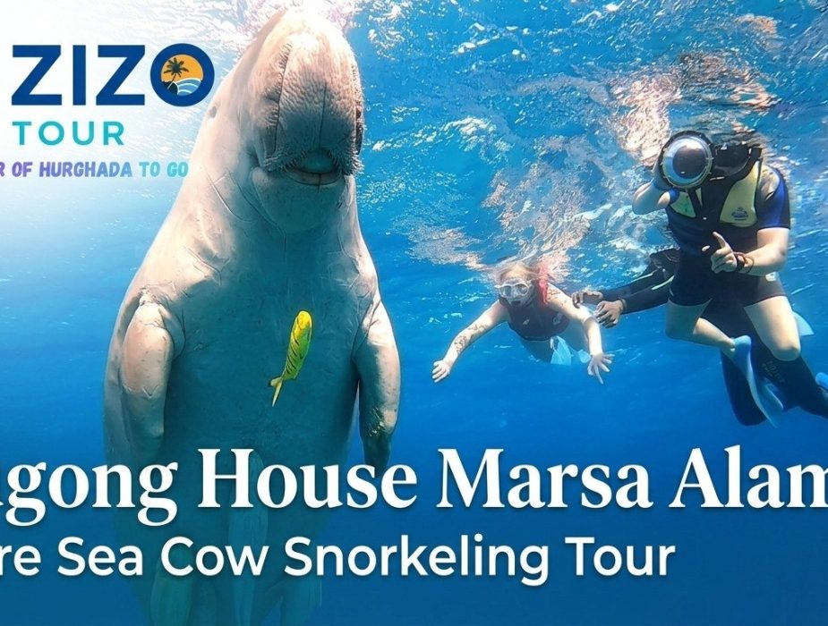Dugong House Marsa Alam | Rare Sea Cow Snorkeling Tour