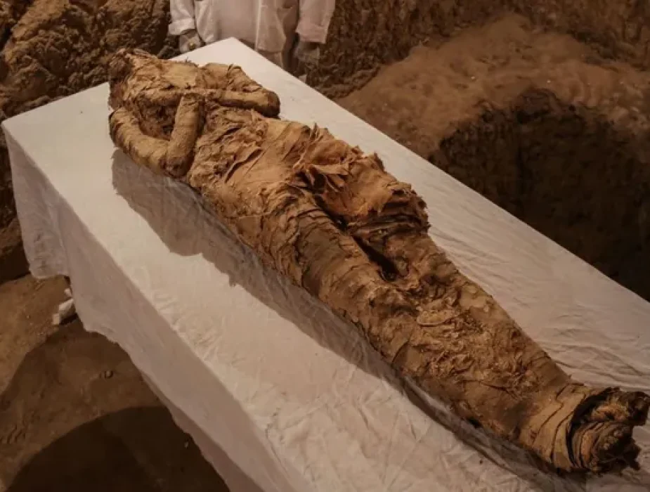 Egyptian Mummies