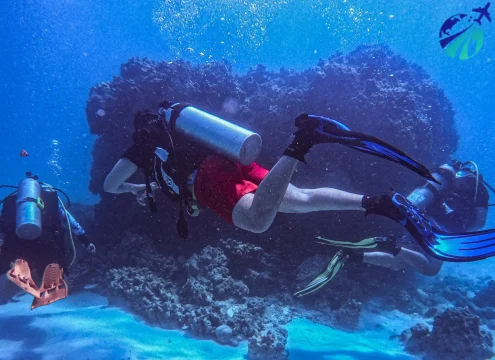 Intro Scuba Diving Hurghada For beginners With (Lunch,Transfer)