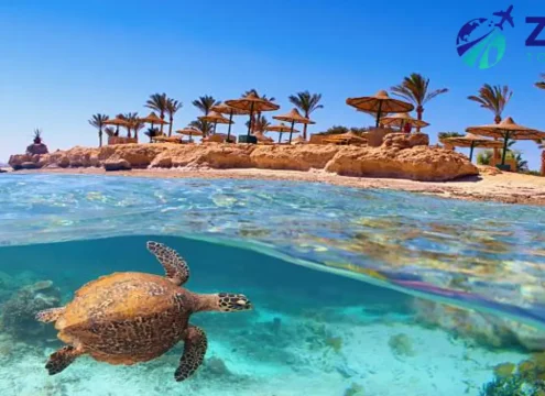 Marsa Alam Snorkeling Trip with Turtles and Lunch in Marsa Mubarak