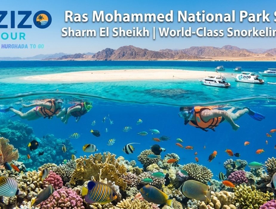 Ras Mohammed National Park Sharm El Sheikh | World-Class Snorkeling Tour