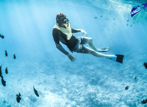 Scuba Diving & Snorkeling from Makadi Bay & Sahl Hasheesh With Divers