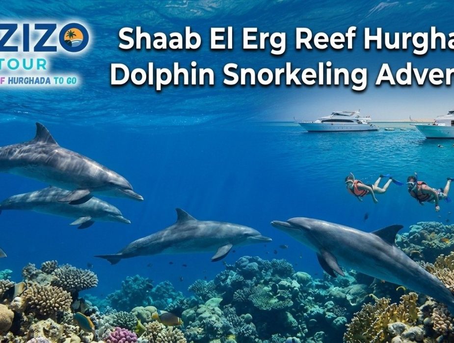 Shaab El Erg Reef Hurghada | Dolphin Snorkeling Adventure
