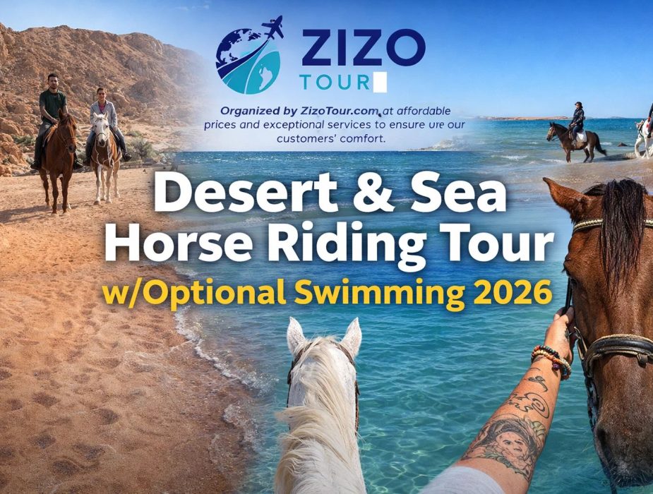 Desert & Sea Horse Riding Tour w/Optional Swimming 2026